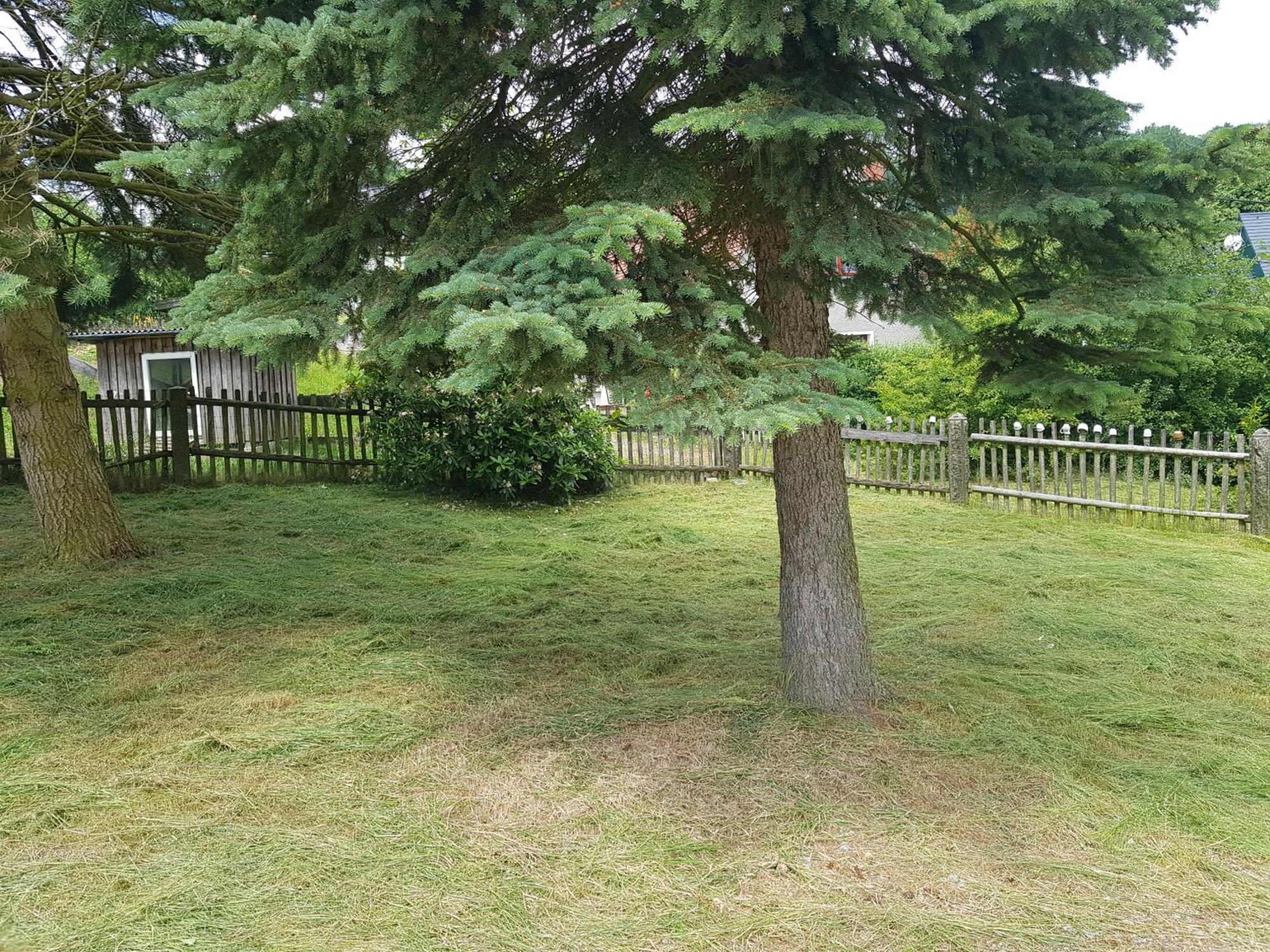 Gasthof Oberschmiede Auf der Wiese エクステリア 写真